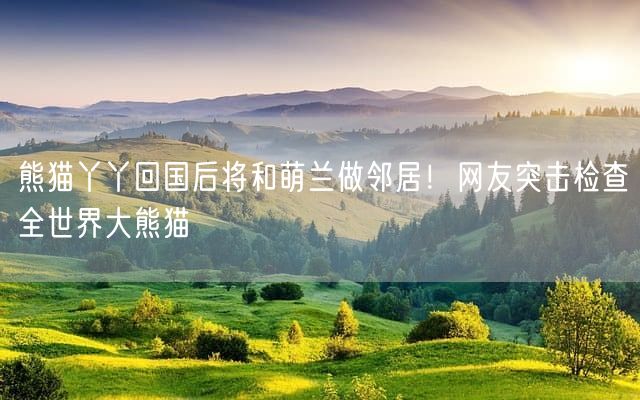 熊猫丫丫回国后将和萌兰做邻居！网友突击检查全世界大熊猫