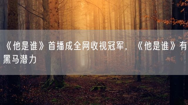 《他是谁》首播成全网收视冠军，《他是谁》有黑马潜力