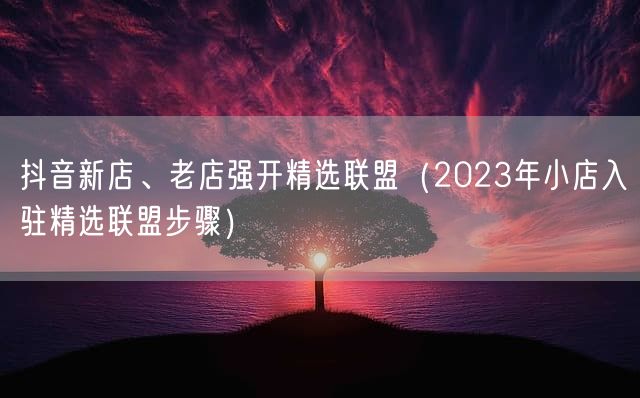 抖音新店、老店强开精选联盟（2023年小店入驻精选联盟步骤）