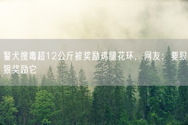 警犬搜毒超12公斤被奖励鸡腿花环，网友：要狠狠奖励它