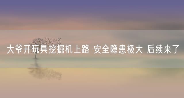 大爷开玩具挖掘机上路 安全隐患极大 后续来了