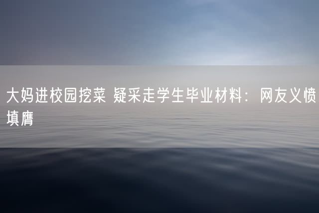 大妈进校园挖菜 疑采走学生毕业材料：网友义愤填膺