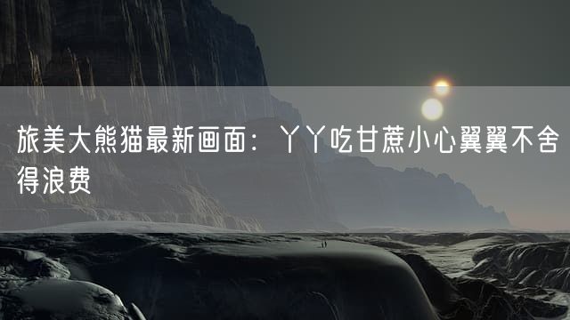 旅美大熊猫最新画面：丫丫吃甘蔗小心翼翼不舍得浪费