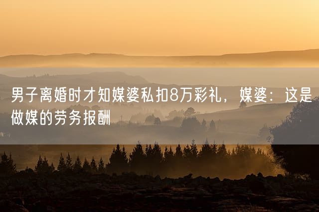 男子离婚时才知媒婆私扣8万彩礼，媒婆：这是做媒的劳务报酬