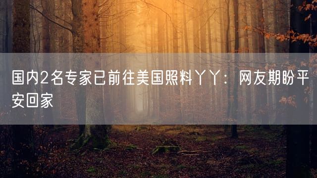 国内2名专家已前往美国照料丫丫：网友期盼平安回家