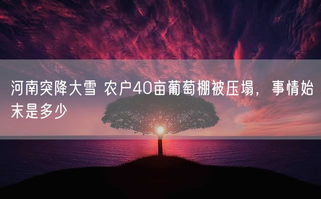河南突降大雪 农户40亩葡萄棚被压塌，事情始末是多少
