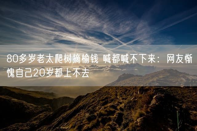 80多岁老太爬树摘榆钱 喊都喊不下来：网友惭愧自己20岁都上不去