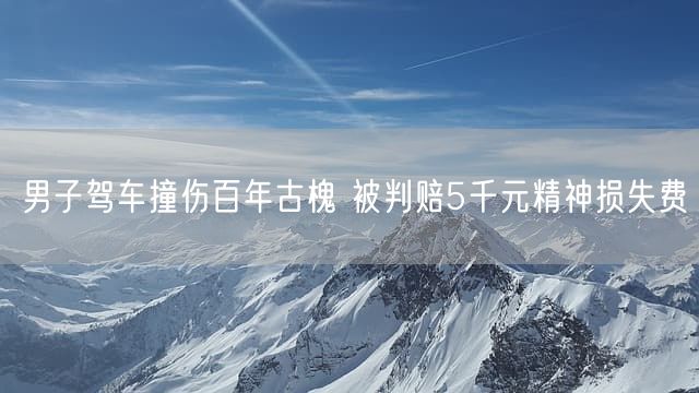 男子驾车撞伤百年古槐 被判赔5千元精神损失费
