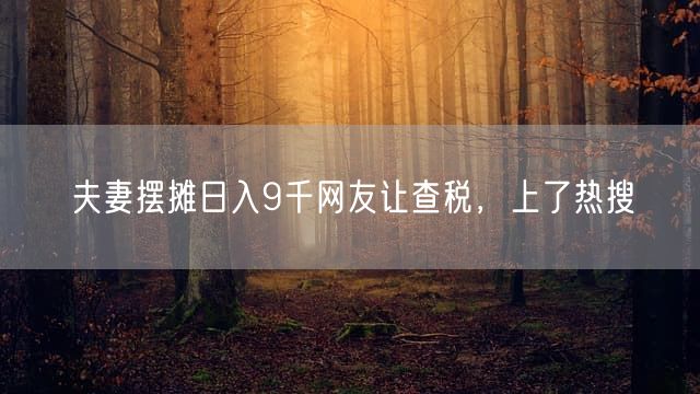 夫妻摆摊日入9千网友让查税，上了热搜
