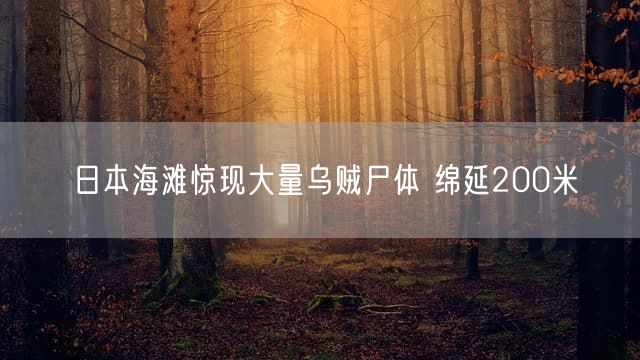 日本海滩惊现大量乌贼尸体 绵延200米