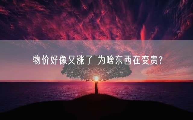 物价好像又涨了 为啥东西在变贵?