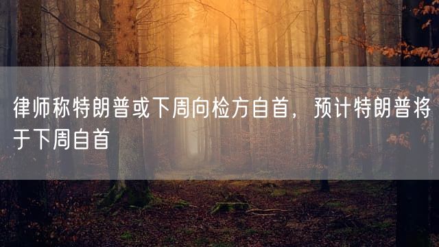 律师称特朗普或下周向检方自首，预计特朗普将于下周自首