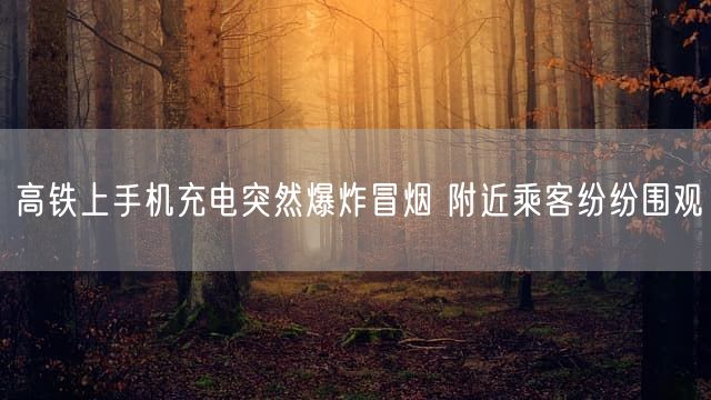 高铁上手机充电突然爆炸冒烟 附近乘客纷纷围观