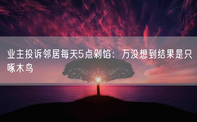 业主投诉邻居每天5点剁馅：万没想到结果是只啄木鸟