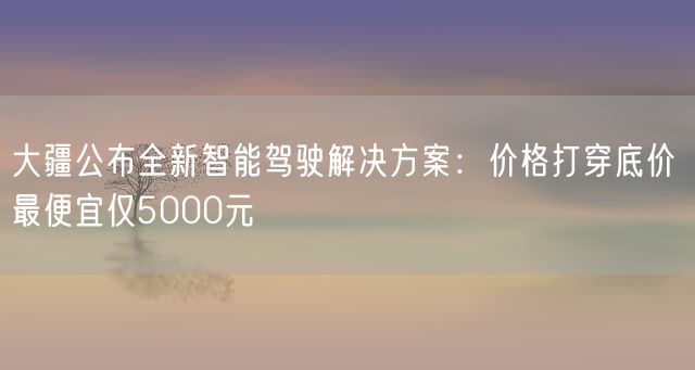 大疆公布全新智能驾驶解决方案：价格打穿底价 最便宜仅5000元