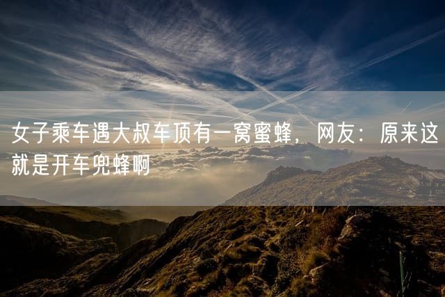 女子乘车遇大叔车顶有一窝蜜蜂，网友：原来这就是开车兜蜂啊