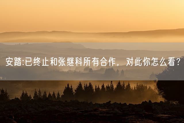 安踏:已终止和张继科所有合作，对此你怎么看？