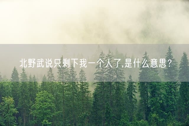北野武说只剩下我一个人了,是什么意思？