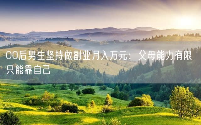 00后男生坚持做副业月入万元：父母能力有限 只能靠自己