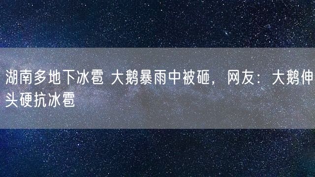 湖南多地下冰雹 大鹅暴雨中被砸，网友：大鹅伸头硬抗冰雹