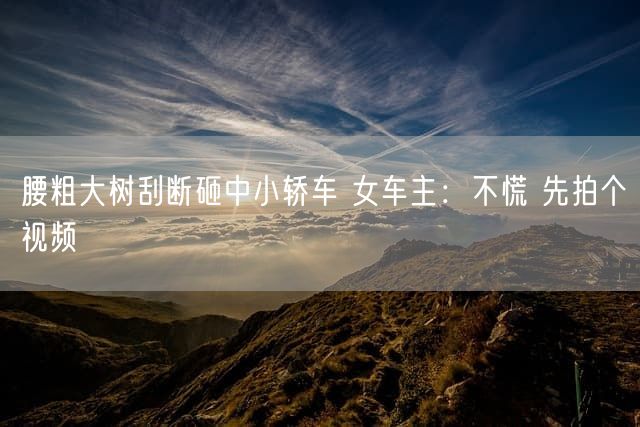 腰粗大树刮断砸中小轿车 女车主：不慌 先拍个视频