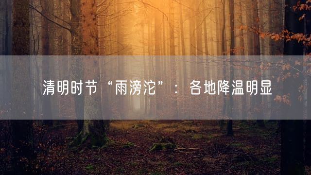 清明时节“雨滂沱”：各地降温明显