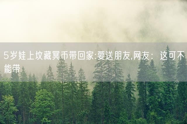 5岁娃上坟藏冥币带回家:要送朋友,网友：这可不能带