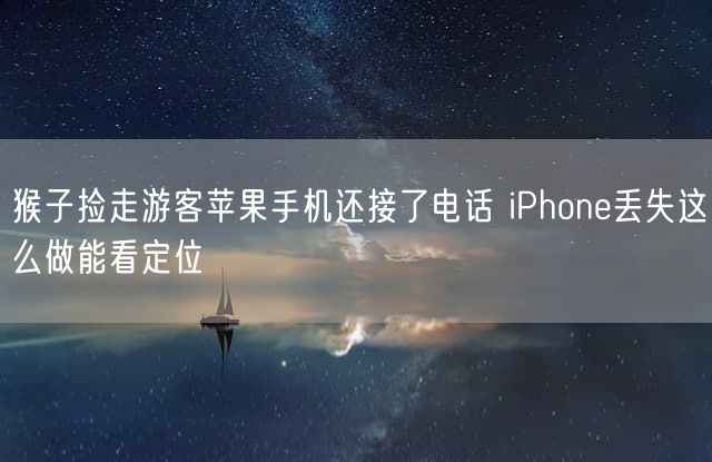 猴子捡走游客苹果手机还接了电话 iPhone丢失这么做能看定位