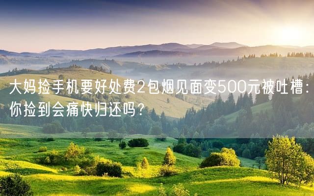 大妈捡手机要好处费2包烟见面变500元被吐槽：你捡到会痛快归还吗？