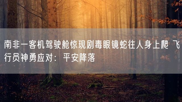 南非一客机驾驶舱惊现剧毒眼镜蛇往人身上爬 飞行员神勇应对：平安降落