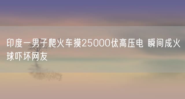 印度一男子爬火车摸25000伏高压电 瞬间成火球吓坏网友