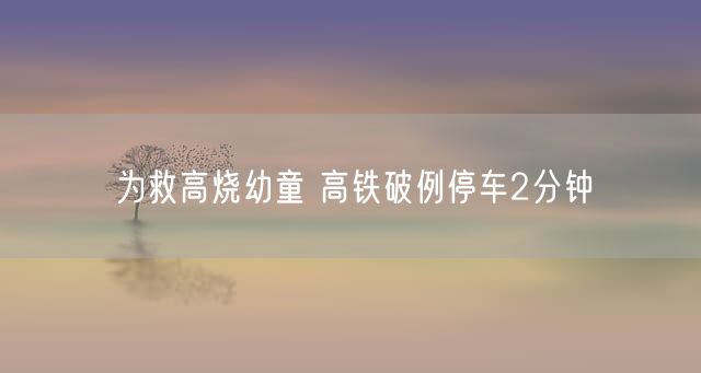 为救高烧幼童 高铁破例停车2分钟