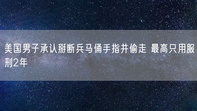 美国男子承认掰断兵马俑手指并偷走 最高只用服刑2年