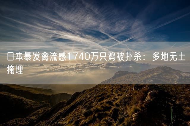 日本暴发禽流感1740万只鸡被扑杀：多地无土掩埋
