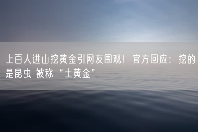 上百人进山挖黄金引网友围观！官方回应：挖的是昆虫 被称“土黄金”