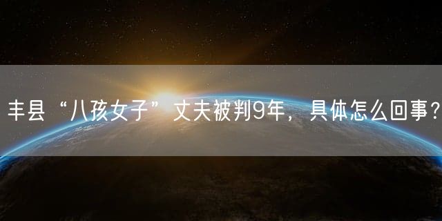 丰县“八孩女子”丈夫被判9年，具体怎么回事？