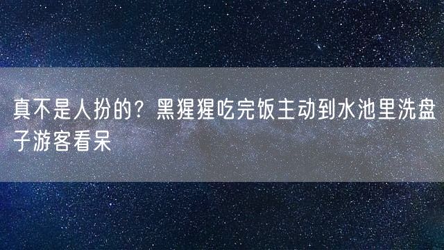 真不是人扮的？黑猩猩吃完饭主动到水池里洗盘子游客看呆