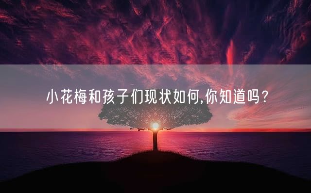 小花梅和孩子们现状如何,你知道吗？
