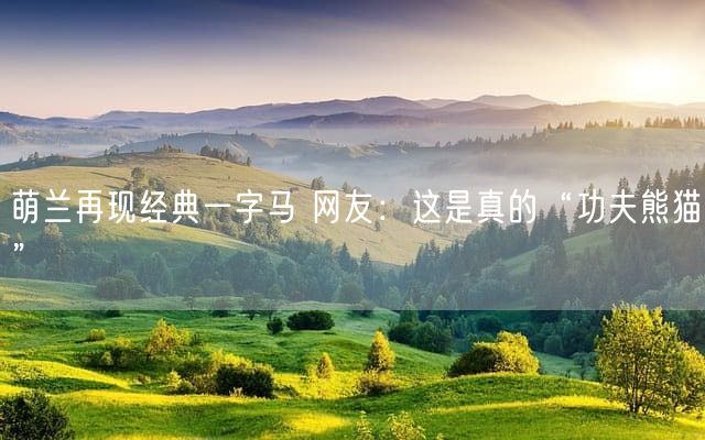 萌兰再现经典一字马 网友：这是真的“功夫熊猫”
