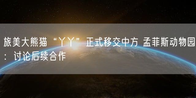 旅美大熊猫“丫丫”正式移交中方 孟菲斯动物园：讨论后续合作