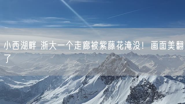 小西湖畔 浙大一个走廊被紫藤花淹没！画面美翻了