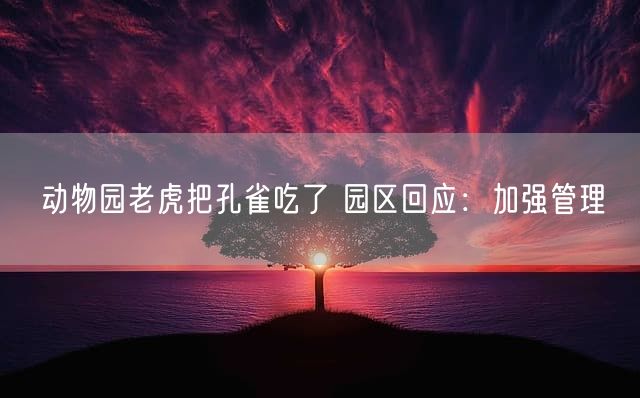 动物园老虎把孔雀吃了 园区回应：加强管理
