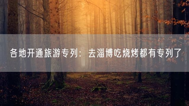 各地开通旅游专列：去淄博吃烧烤都有专列了