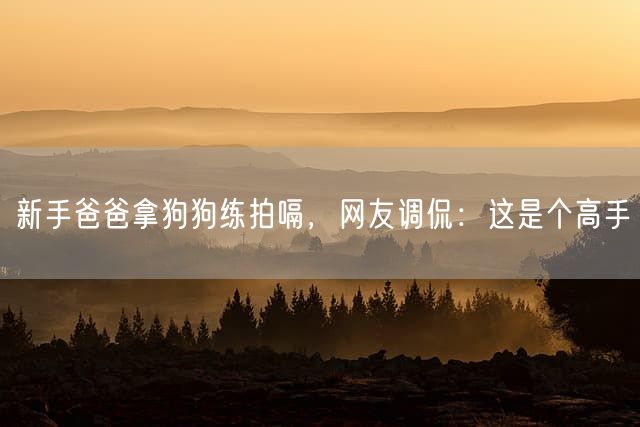 新手爸爸拿狗狗练拍嗝，网友调侃：这是个高手