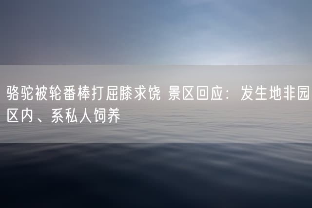 骆驼被轮番棒打屈膝求饶 景区回应：发生地非园区内、系私人饲养