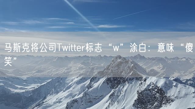 马斯克将公司Twitter标志“w”涂白：意味“傻笑”