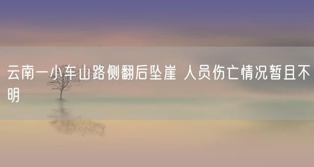 云南一小车山路侧翻后坠崖 人员伤亡情况暂且不明