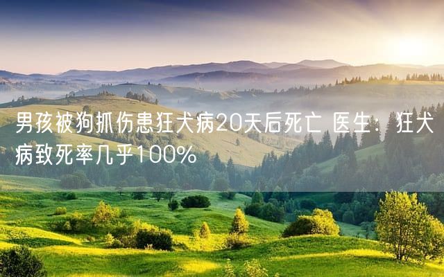 男孩被狗抓伤患狂犬病20天后死亡 医生：狂犬病致死率几乎100%