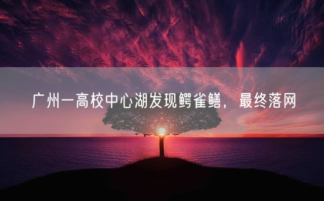 广州一高校中心湖发现鳄雀鳝，最终落网