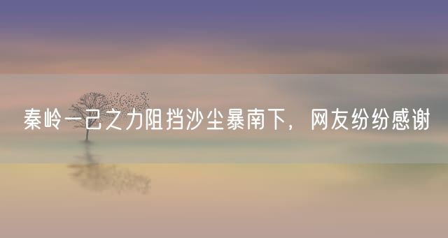 秦岭一己之力阻挡沙尘暴南下，网友纷纷感谢